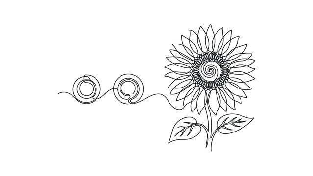 Continuous line drawing of a sunflower connected to two circular shapes.