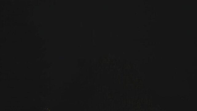 Pitch dark stormy night, a dim tree silhouette barely visible, rain falling steadily as a lightning flash interrupts the darkness over a distant glow