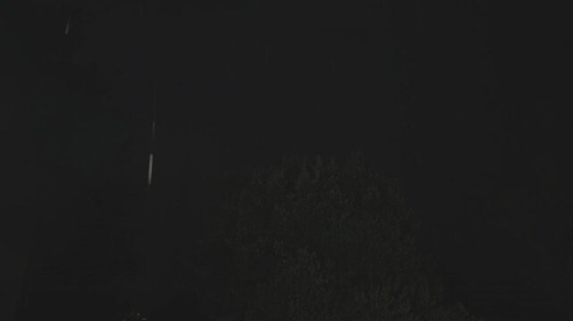 A faint treetop emerges from darkness during a stormy night, rain falls under a black sky, brief lightning illuminates the canopy in a moody thunderstorm