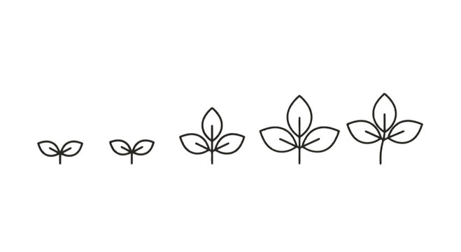Simple line art leaf icons growing isolated on transparent background, Vector