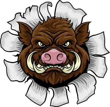 A wild boar, hog razorback warthog pig mean tough cartoon sports mascot