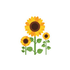Obraz premium Vibrant Sunflowers Field Illustration - Summer Nature and Botany