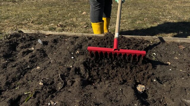 Garden rake in hands of human loosening ground, standing on grass. Soil treatment using agricultural object in spring.