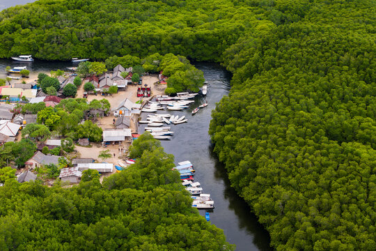 Boats moored along a river winding through lush mangroves in Indonesia