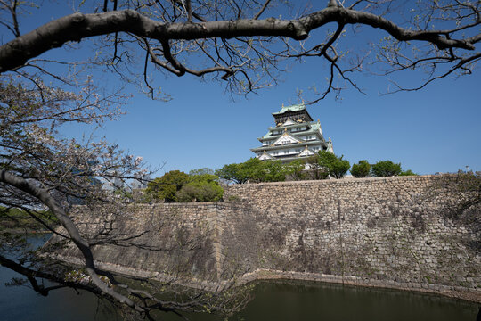 Historic Osaka Castle rises above its stone walls and moat beneath a clear blue sky in Osaka, Japan. A scenic travel destination framed by trees in early spring.