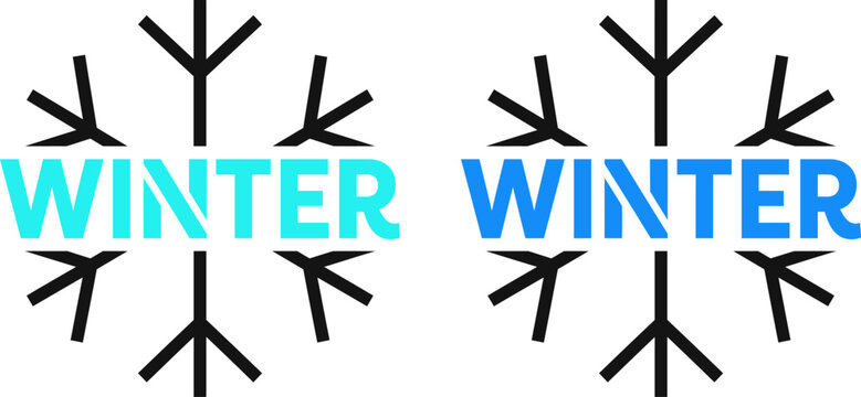 Winter snowflake pair graphic design with text