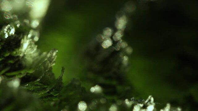Moldavite gemstone extreme close up. Precious tektite from the Czech Republic. Green jagged alien surface texture. Sculptation. 
