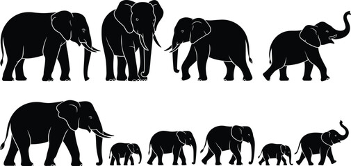 Collection of Black Silhouette Elephants in Various Poses and Sizes on White Background Keywords: elephant, silhouette, animal, wildlife, mammal, large, trunk, tusks © Vectorplanet