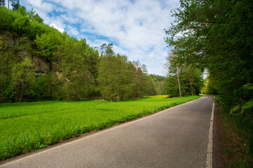 Fototapeta premium Scenic forest road winding through the iconic sandstone rock formations of the beautiful Bohemian Paradise, Czech Republic, surrounded by lush nature and summer greenery.