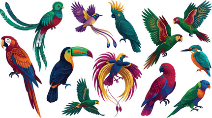 Fototapeta premium Vibrant Exotic Tropical Birds Vector Illustration Set featuring Macaw Parrot Toucan Cockatoo and Paradise Bird Elements for Jungle Wildlife and Rainforest Layouts