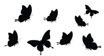 Collection Of Black Butterfly Silhouettes On White Background Silhouette © Jewel