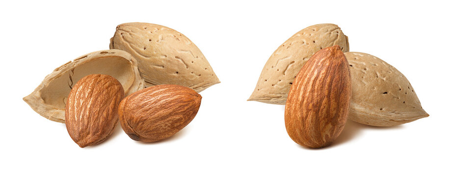 Set of almond nuts in shell  isolated on white background. Real photography