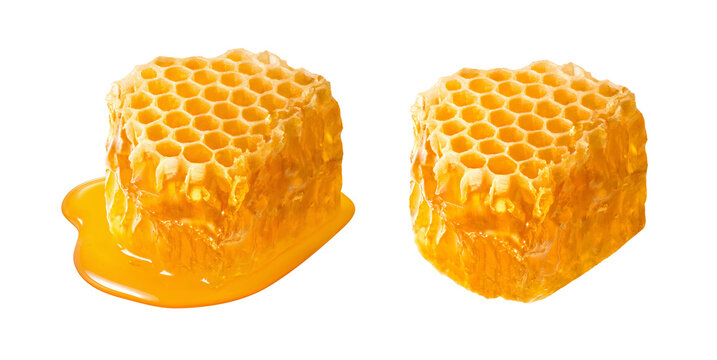 Set of honeycomb isolated on white background. Honey pieces. Real photography