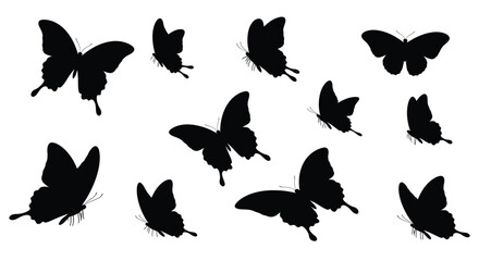 Collection Of Black Butterfly Silhouettes Against A White Background Silhouette © Rita