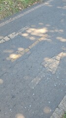 Fototapeta premium Close up of asphalt path with faded painted arrows and dappled sunlight shadows
