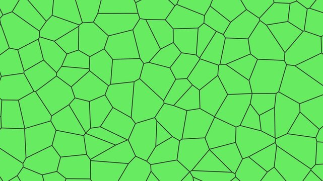 seamless geometric pattern vector animation, green screen background animation 