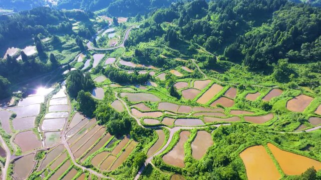 星峠の棚田（新潟県十日町市）