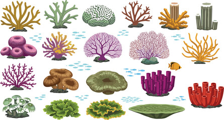 Coral Reef Vector Set with Brain Coral, Sea Sponge, and Tropical Fish Elements for Marine Life and Underwater Nature Designs © Lcpl