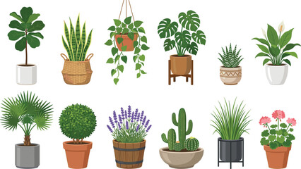 Fototapeta premium Indoor houseplant collection featuring potted tropical plants succulents cactus lavender and flowering greenery vector illustration isolated on white background