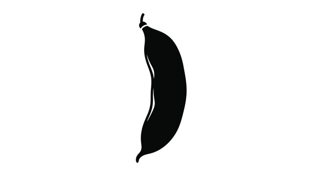 Fava Bean Silhouette Against White Background broad