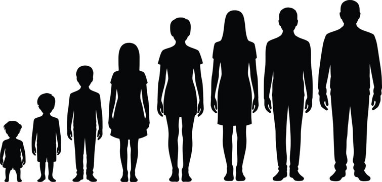 Silhouette lineup of people representing human life stages from childhood to adulthood with silhouette development childhood adulthood children evolution generational maturity isolated