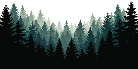 Deep coniferous pine forest silhouette with hazy layers evergreen trees forest background nature background forest landscape misty forest conifer forest dense forest tree silhouette tree line © MstAsmaAkter