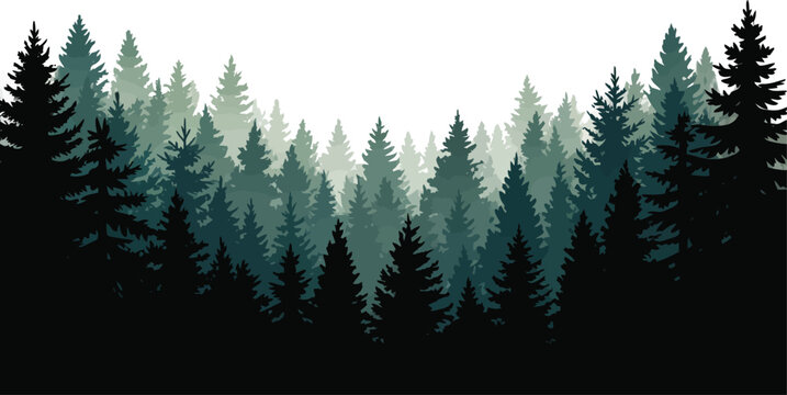 Deep coniferous pine forest silhouette with hazy layers evergreen trees forest background nature background forest landscape misty forest conifer forest dense forest tree silhouette tree line