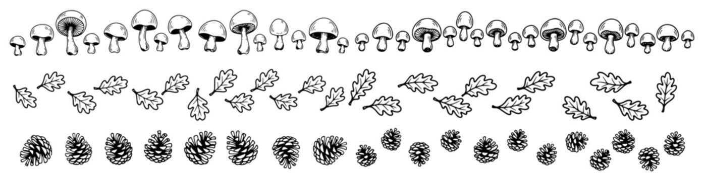 Forest borders featuring mushrooms oak leaves and pine cones in minimalist line art style