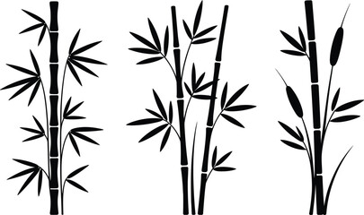 Naklejka premium Black silhouette set of bamboo stalks and water reeds for graphic design with silhouette botanical cattails collection isolated illustration oriental decoration ornament minimalist branches