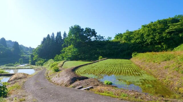 星峠の棚田（新潟県十日町市）