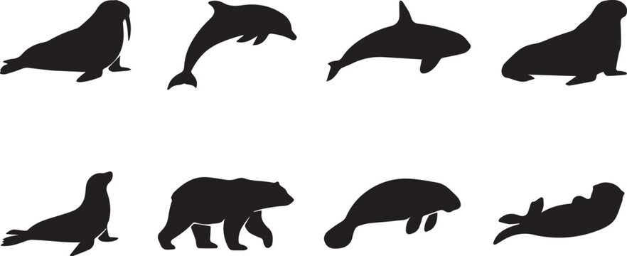 Vector collection of black marine mammal silhouettes featuring dolphin walrus and polar bear on white background