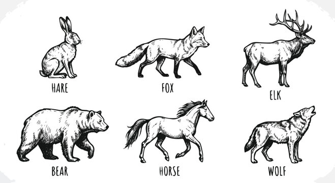 Generated on Hand drawn Wild forest animals icons. Forest fauna of mammals hare. fox, elk, bear, horse, wolf vector art on white background