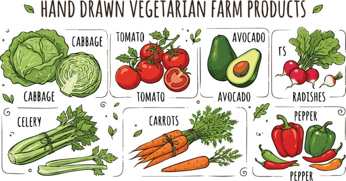 Generated on Hand drawn Vegetarian farm products. Vegetable set cabbage, tomato, avocado, rs, celery, carrots, pepper vector art on white background