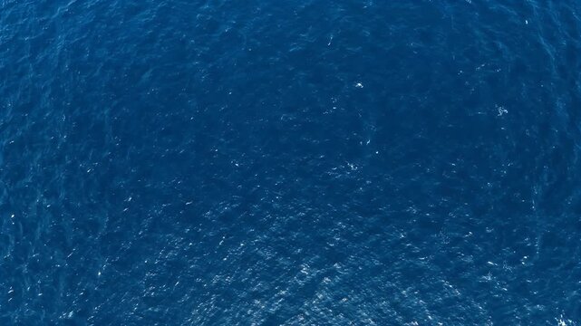 Ocean water surface with deep blue sea waves and sunlight reflections creating calm peaceful nature scene in vast marine outdoors background with gentle wave movement