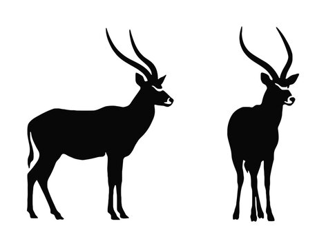 Antelope silhouette icon set, white background, vector Illustration. A sleek black silhouette vector illustration of an antelope standing upright with curved horns and a slender body. 
