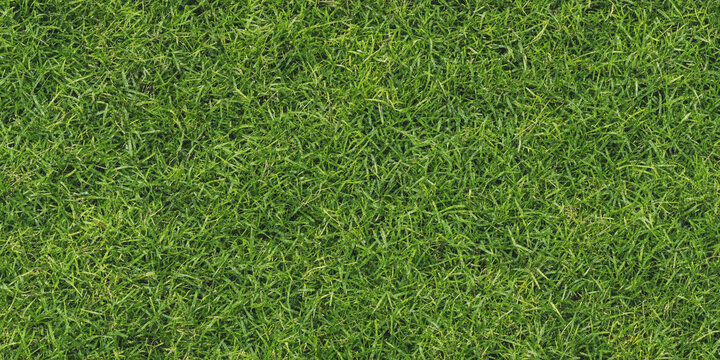 Lush green grass texture a full frame photographic view of a lawn surface turf verdant