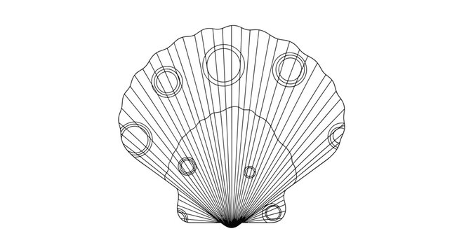 Detailed black and white line drawing of a scallop seashell features intricate circular patterns and fine radial lines.