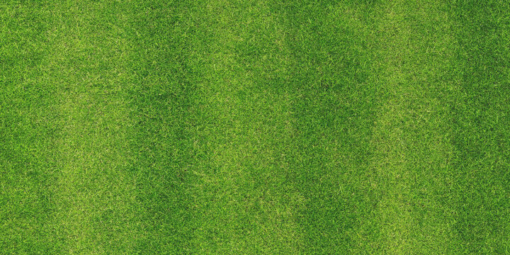 Green grass texture a full frame aerial view of a lush lawn greenery turf foliage