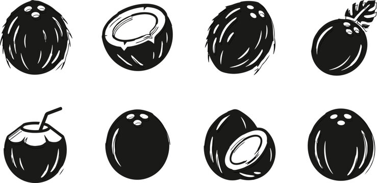 Tropical Coconut Icon Set with Whole and Half Fruit Symbols for Organic Food Packaging Designs