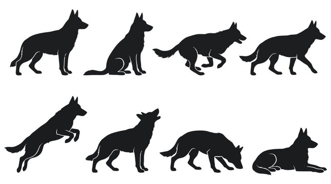 Detailed German Shepherd dog silhouette collection featuring various poses like running jumping sitting walking and howling for animal behavior graphic design works. isolated on white background PNG