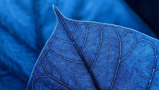 macro image of blue leaf natural background