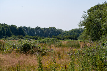 Fototapeta premium Scenic Waterland Habitat Landscape at Skylarks Nature Reserve in Nottingham, UK