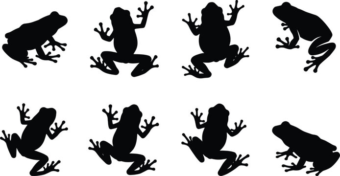 Vector silhouettes collection of frogs and toads in different poses isolated on white background