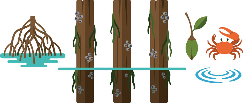 Mangrove Swamp Coastal Ecosystem Vector Element Set Featuring Prop Roots Wooden Pilings with Barnacles Seaweed Propagule Sprout Seed and Fiddler Crab
