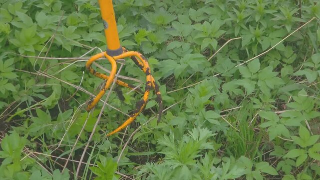 Gardening tools work in overgrown area to clear out plants and weeds