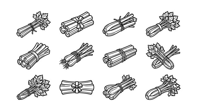 Fresh Celery Bunches Hand Drawn Vector Illustrations Collection