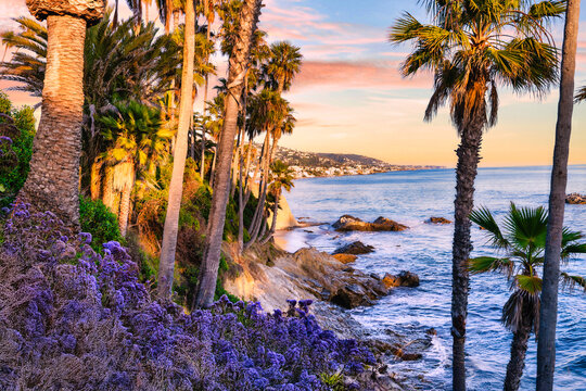 Golden sunset over rocky Pacific coastline in Heisler Park Laguna Beach California framed by palm trees purple flowers and scenic Orange County shoreline with tranquil ocean and coastal cliffs
