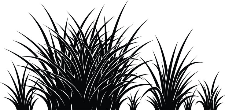 Black grass silhouette border collection with detailed wild blades isolated on white background vector illustration