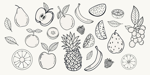 Fototapeta premium Fruit Sketch Collection Black And White Line Illustration