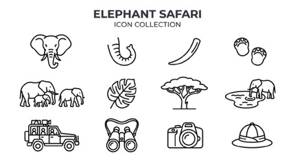 Elephant safari icon collection with 12 unique outline icons including footprints, tusk, trunk, leaf, elephant family, watering hole, jungle tree, and elephant face. white backgound    © MDRAHMET